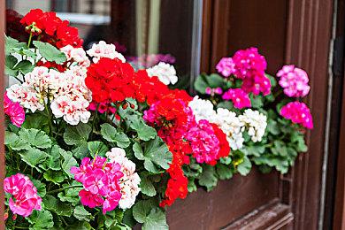 《女高中生生存模拟游戏》上架Steam 少女无人岛求生